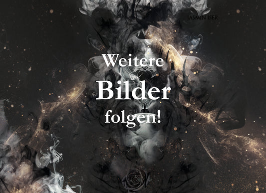 Buchbox - Ein Prinz aus Dornen und Schatten